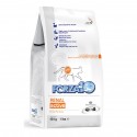 Forza10 Renal Active for Cats