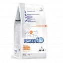 Forza10 Renal Active für Katzen