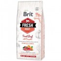 Brit Fresh Puppy Large Beef with Pumpkin pour chiots
