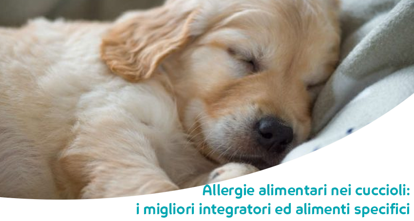 Cucciolo Con Allergie Alimentari Dermatiti Diarrea A