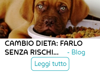 sintomi prostata infiammata canet sintomi prostata infiammata canet