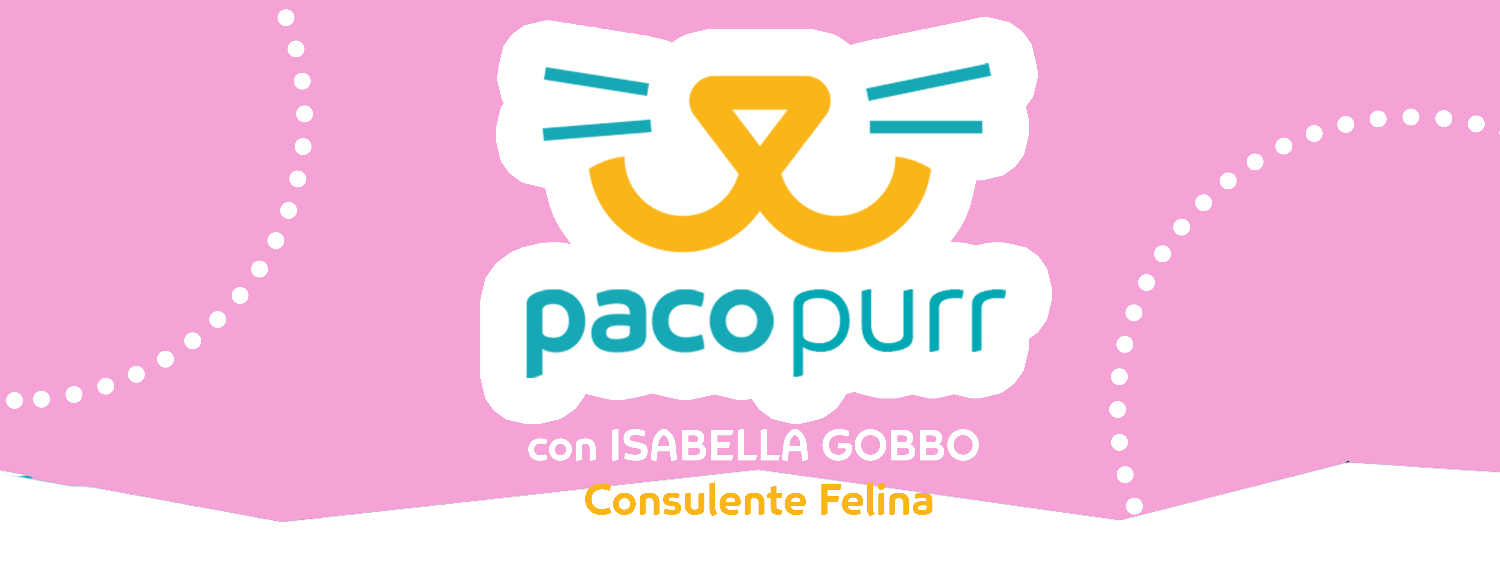 copertina-pacopurr.png