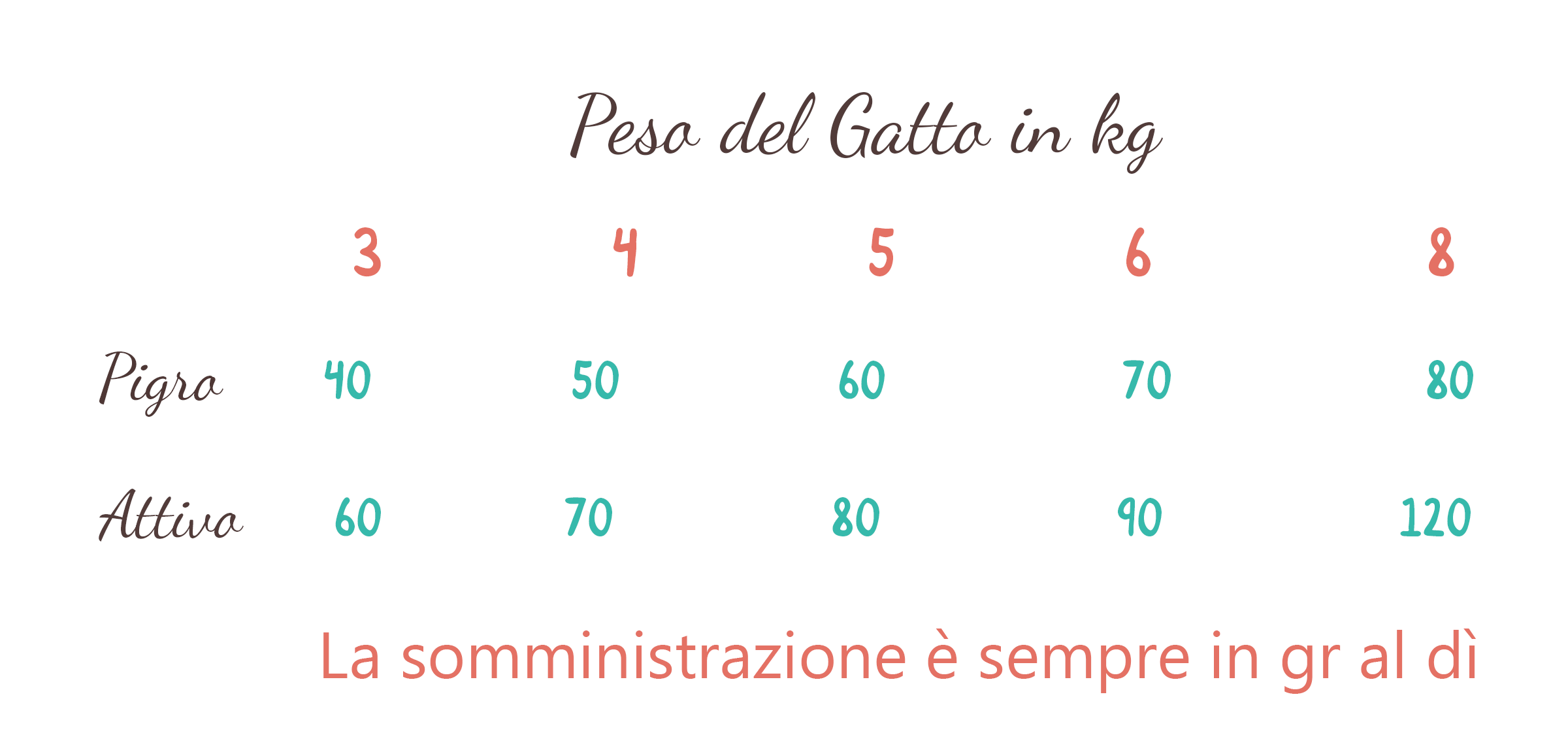 somministrazione-gattoadulto.png