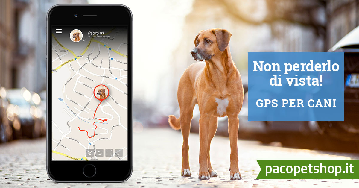 Tractive Gps