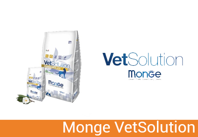 Monge VetSolution