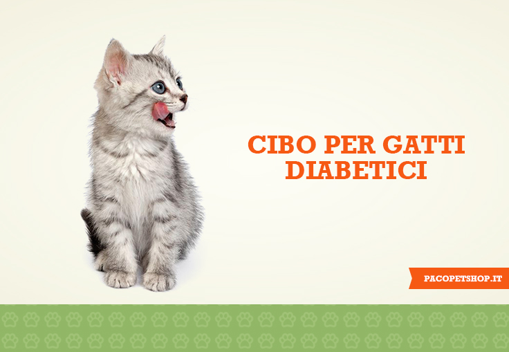 Cibo per cani diabetici