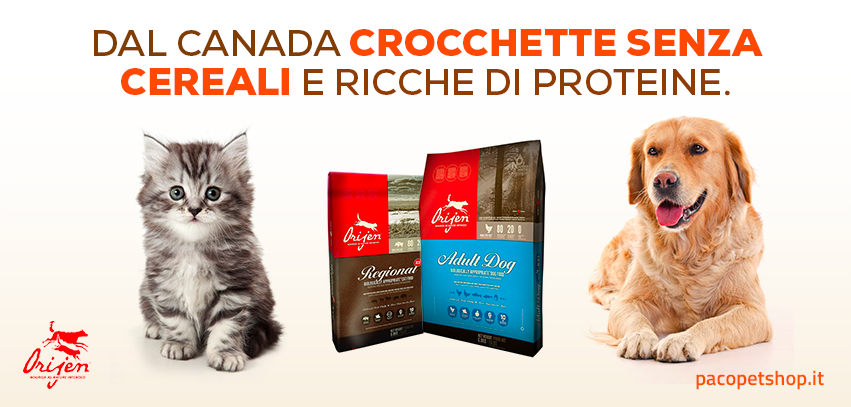 Orijen Crocchette