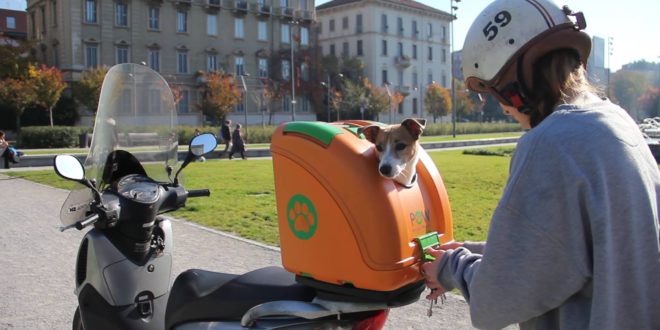 Pet on Wheels | Trasportino per moto per cane