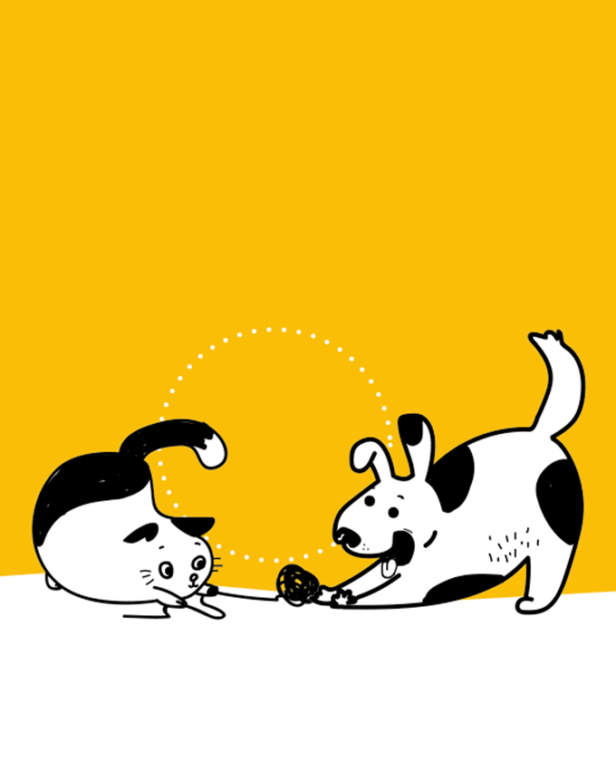 Paco Pet Shop - Illustrazione mix