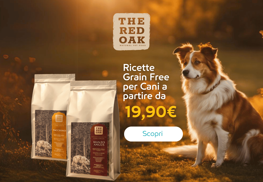 Paco Pet Shop