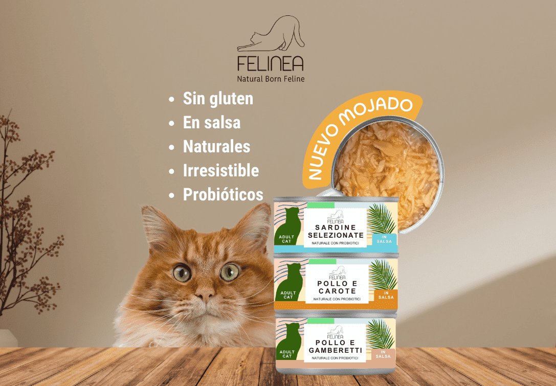 Paco Pet Shop
