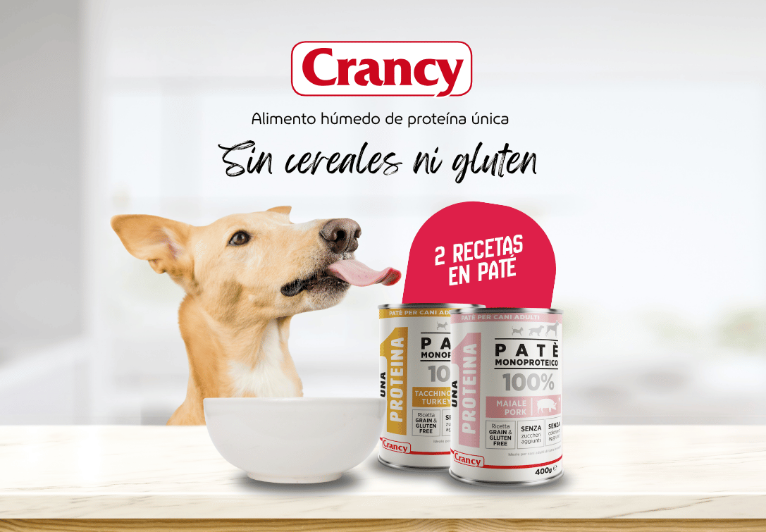 Paco Pet Shop