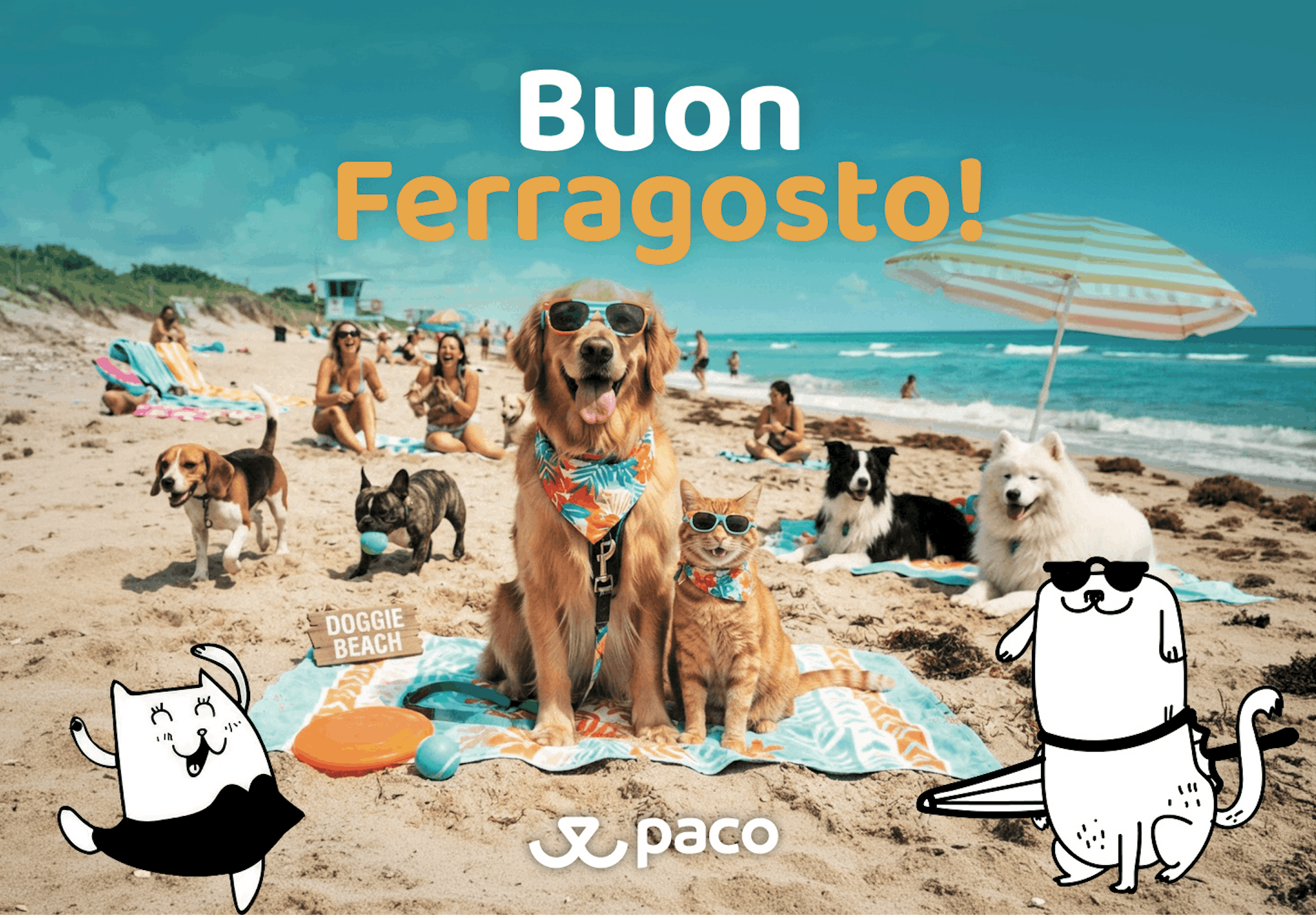 Paco Pet Shop