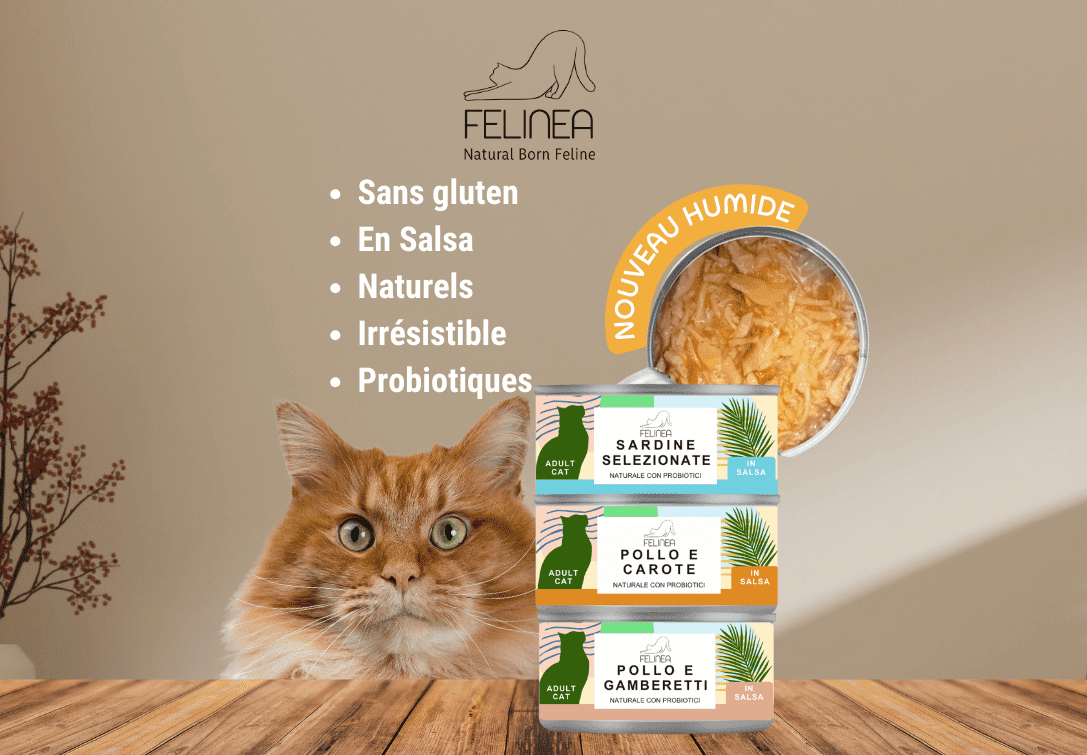 Paco Pet Shop