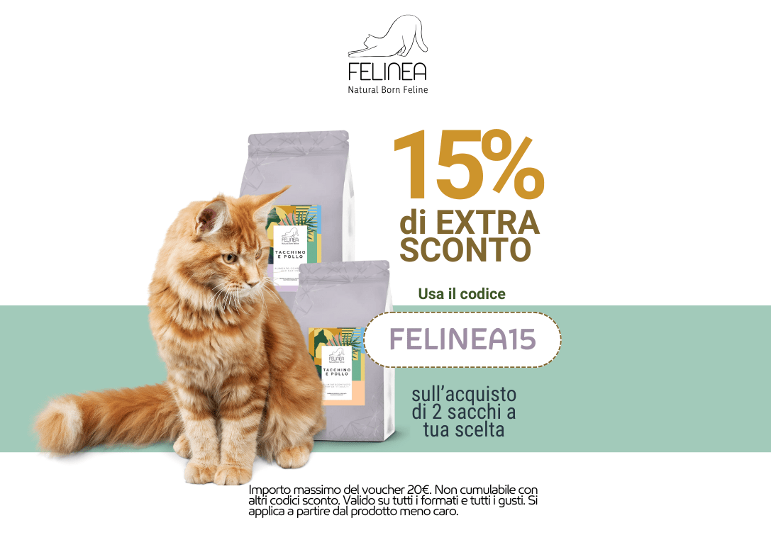 Paco Pet Shop