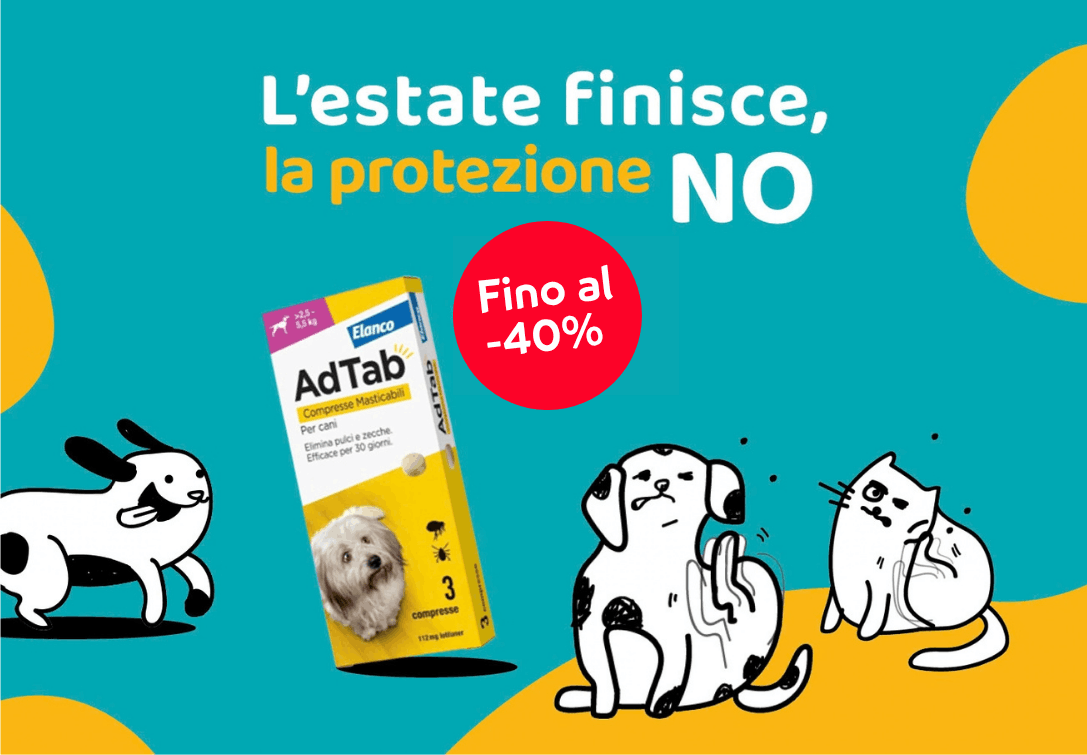 Paco Pet Shop