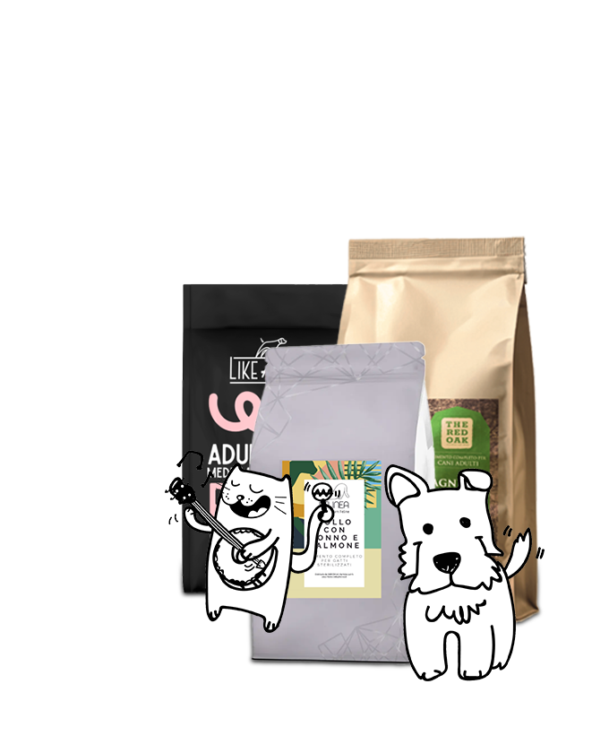 Paco Pet Shop - Illustrazione mix