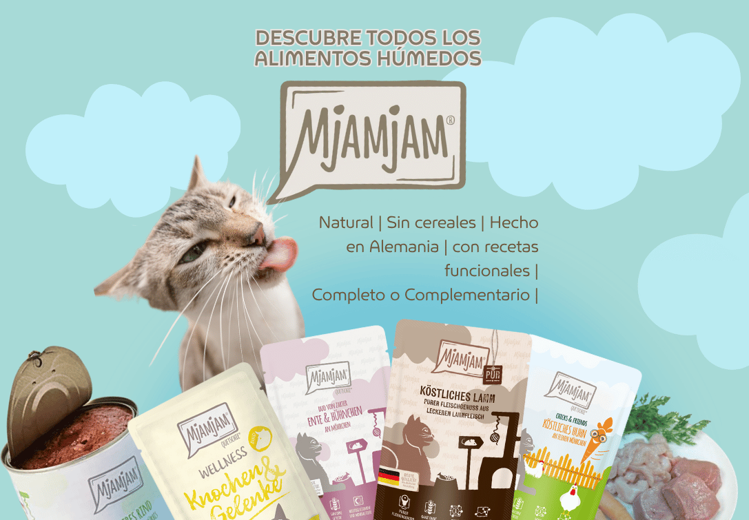 Paco Pet Shop