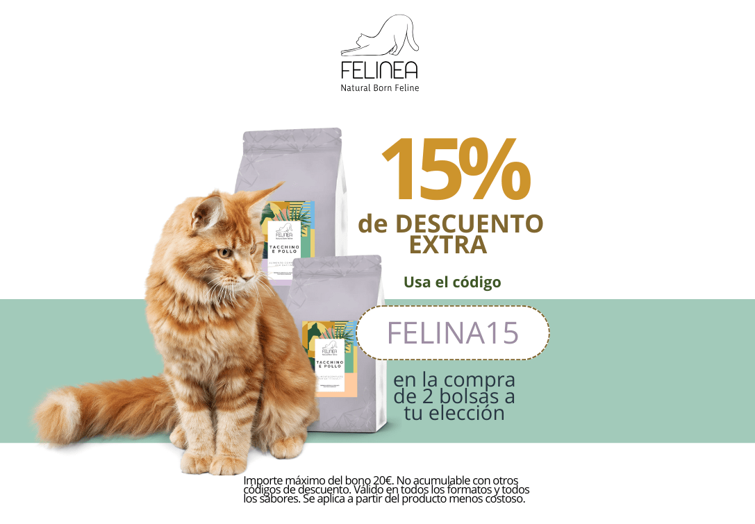 Paco Pet Shop