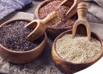 Paco Pet Shop - I BENEFICI DELLA QUINOA PER IL CANE E PER IL GATTO