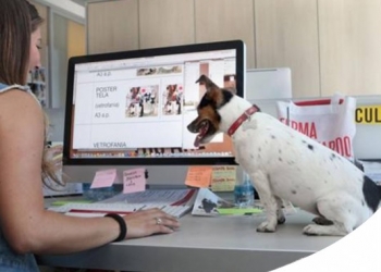 PORTARE IL CANE IN UFFICIO AUMENTA IL RENDIMENTO: LE AZIENDE PET-FRIENDLY