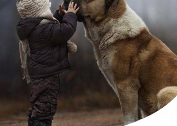 Paco Pet Shop - 6 BUONI MOTIVI PER CUI AI BAMBINI FA BENE AVERE UN CANE O UN GATTO