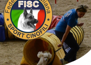 LE OLIMPIADI DEI CANI: IL WORLD AGILITY CHAMPIONSHIP IFCS 2018