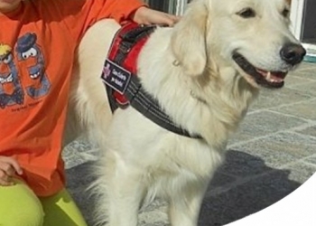 Paco Pet Shop - I CANI CHE AIUTANO CHI SOFFRE DI DIABETE: I CANI D'ALLERTA PER DIABETICI