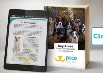 GUIDA AL CANE: E-BOOK GRATIS PER SAPERE TUTTO SU QUESTI ADORABILI AMICI