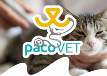 Paco Pet Shop - MALATTIA RENALE CRONICA DI CANE E GATTO: I RIMEDI