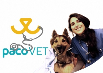 Paco Pet Shop - MALATTIE DELLA BOCCA: PARODONTITI, GENGIVITI E STOMATITI LE CAUSE