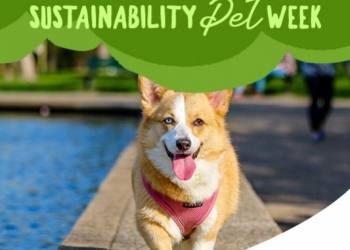 Paco Pet Shop - GLI ALIMENTI NATURALI PER CANI E GATTI SONO ANCHE SOSTENIBILI?