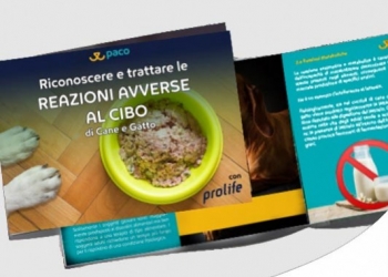 Paco Pet Shop - GUIDA ALLE REAZIONI AVVERSE AL CIBO DI CANE E GATTO 