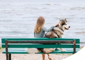 POSSO SEPPELLIRE CANE E GATTO IN GIARDINO?