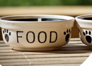 Paco Pet Shop - TOP 5 DEI MIGLIORI CIBI UMIDI PER CANI 2021
