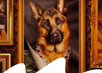 Paco Pet Shop - GUNTHER IL CANE MILIARDARIO: LA STORIA VERA DA VEDERE SU NETFLIX 
